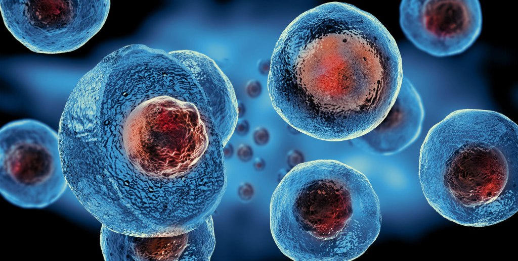 How can stem cell transplants lower the side effects of&nbsp;chemotherapy?
